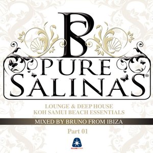 PURE SALINAS VOL. 2 - compiled by BRUNO FROM IBIZA