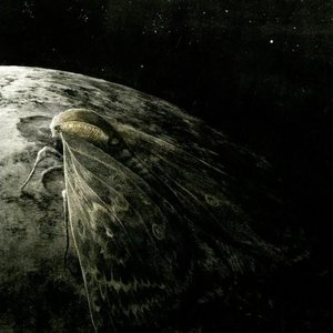 Moth and the Moon