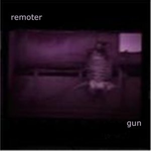 Gun