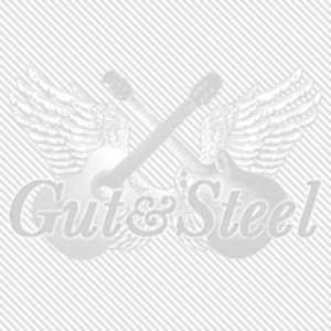 “Gut&Steel Live Archives 2011”的封面