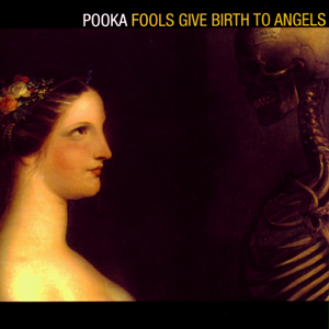 Fools Give Birth To Angels cover