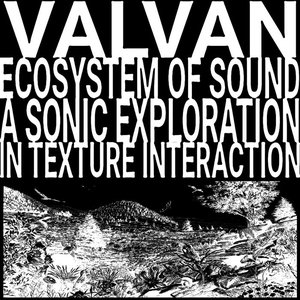 Ecosystem of Sound