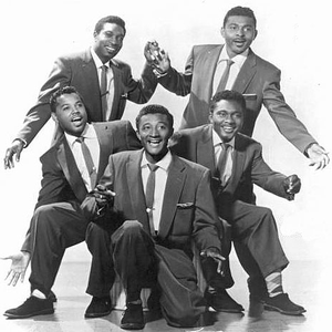 The Robins photo provided by Last.fm