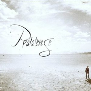 PalatenSe 的头像