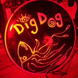 Digdog 的头像