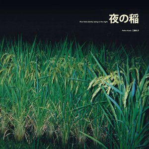 夜の稲 = Rice Field Silently Riping In The Night