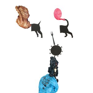 Viral Dogs and Cats