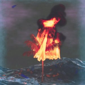 PSYCHOTROPICAL
