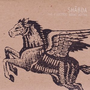 The Electric Bodhisattva