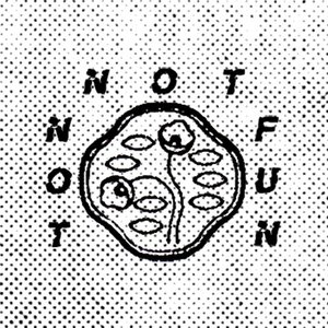 Avatar for Not Not Fun