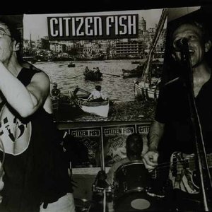 Awatar dla Citizen Fish