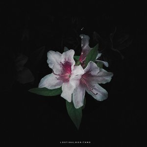 Half Remembered Dreams