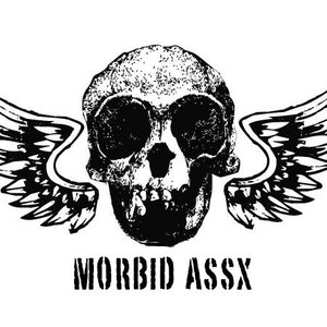 “morbid assx”的封面