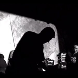 Noisegate için avatar