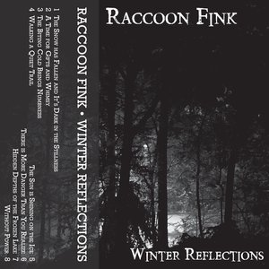 Winter Reflections