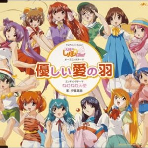 優しい愛の羽