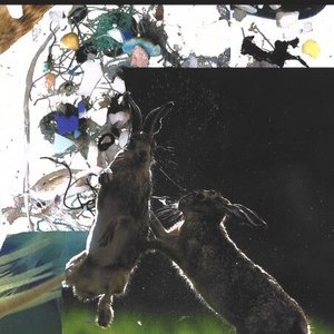 Mating Dance and Chase/For Sally