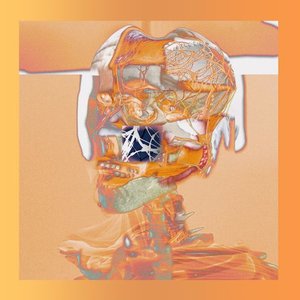 LIMBFLARE LP