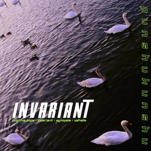 Invariant