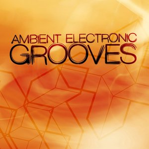 Ambient Electronic Grooves