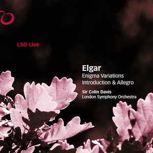 Elgar: Enigma Variations, Introduction & Allegro