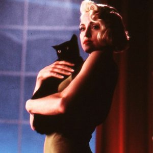 Avatar for Madonna