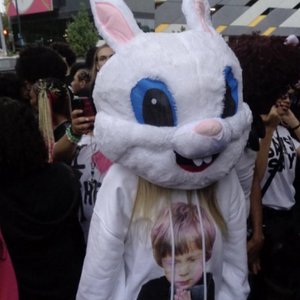 chehollows 的头像