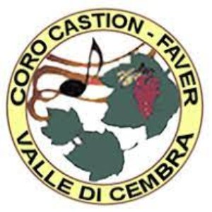 Coro Castion 的头像