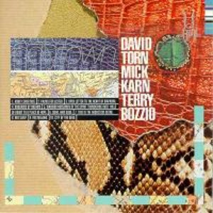 Immagine per 'Polytown(David Torn/Mick Karn/Terry Bozzio)'