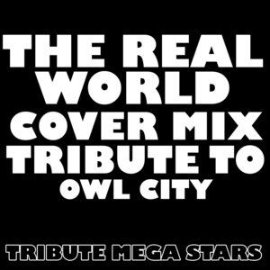 The Real World (Cover Mix Tribute to Owl City)