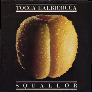 Tocca l'albicocca cover