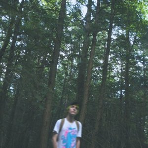 Old Roots - Single