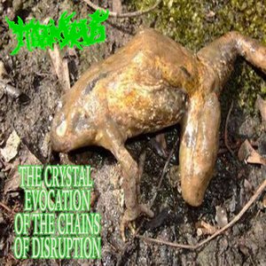 THE CRYSTAL EVOCATION OF THE CHAINS OF DISRUPTION