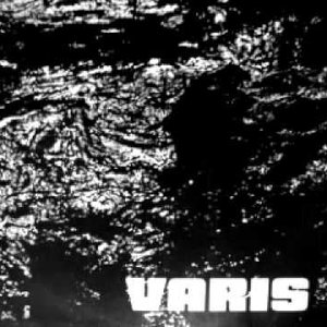 Varis 的头像