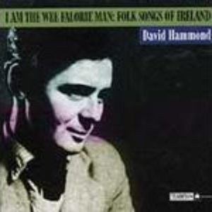 David Hammond 的头像