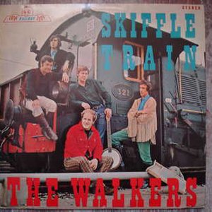 Skiffle train