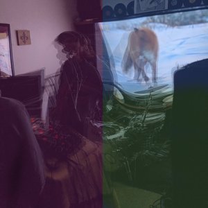 Ottofox 的头像