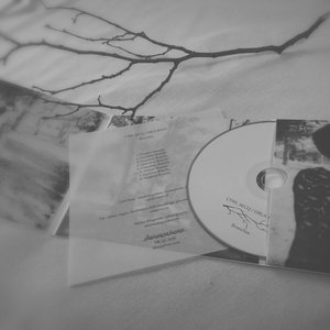 Cyril Secq / Orla Wren 的头像