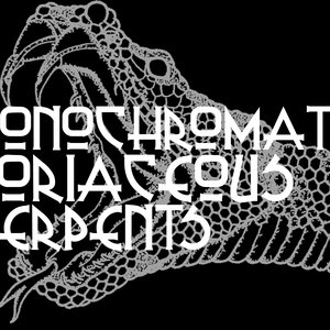 Monochromatic Coriaceous Serpents 的头像