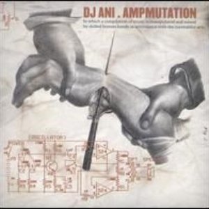 DJ Ani 的头像