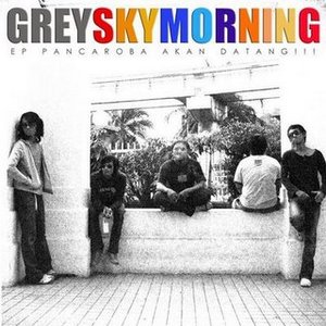 Grey Sky Morning 的头像