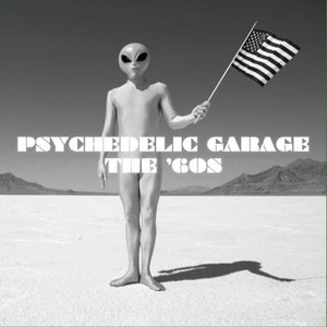 Psychedelic Garage The 60s
