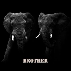Brother