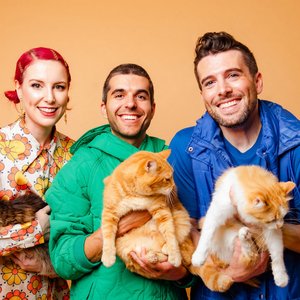 Catpack 的头像