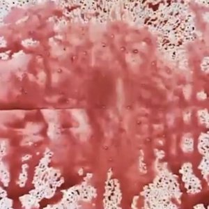 Red Wine - Single