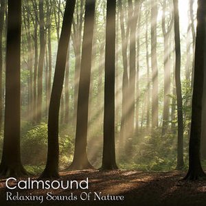Relaxing Sounds of Nature - The Pure Meditation Album