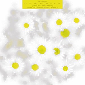 Camomile (Satl Remix)
