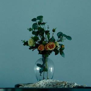 คงต้องบอกลาแล้ว - Single