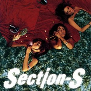 Section-S のアバター