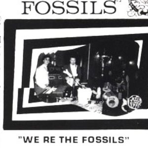 Avatar de The Fossils (ITA)